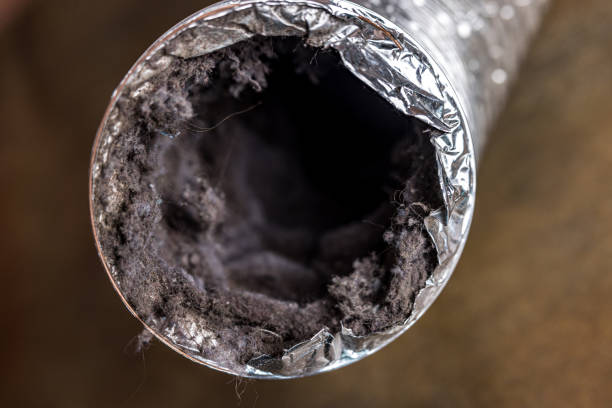 Affordable HVAC Duct Cleaning in Denmark, SC