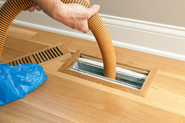 Best Professional Duct Cleaning Services  in Denmark, SC