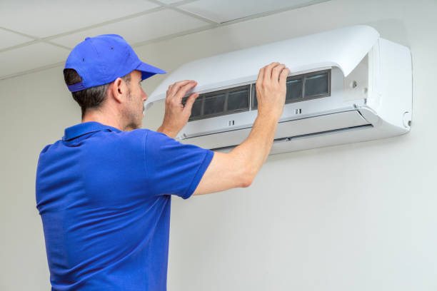 Best Air Duct Sanitizing Services  in Denmark, SC