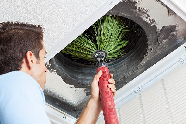 Best HVAC System Cleaning  in Denmark, SC